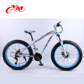 Fat Tube Mountain Fahrrad Legierung Rahmen Strand Cruiser Snow Bike